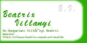 beatrix villanyi business card